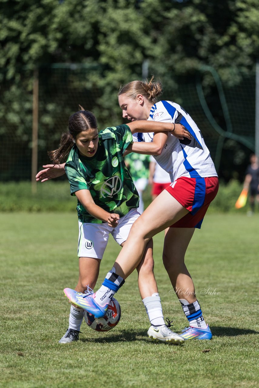 Bild 96 - wBJ Hamburger SV - VfL Wolfsburg : Ergebnis: 5:1